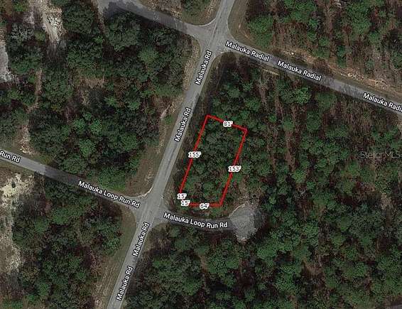 0.32 Acres of Residential Land for Sale in Ocklawaha, Florida