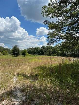 1.13 Acres of Residential Land for Sale in Webster, Florida