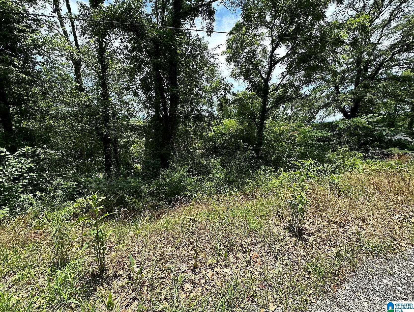 0.25 Acres of Land for Sale in Birmingham, Alabama