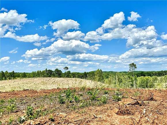 82.9 Acres of Land for Sale in Lexington, North Carolina