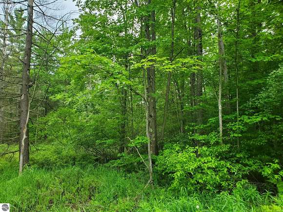5 Acres of Residential Land for Sale in Prescott, Michigan