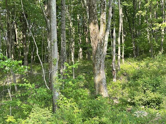 5 Acres of Land for Sale in Nallen, West Virginia