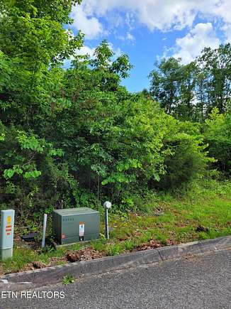 0.36 Acres of Residential Land for Sale in New Tazewell, Tennessee