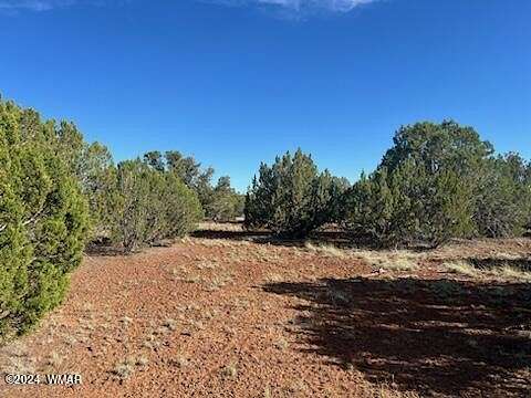 40 Acres of Land for Sale in Show Low, Arizona