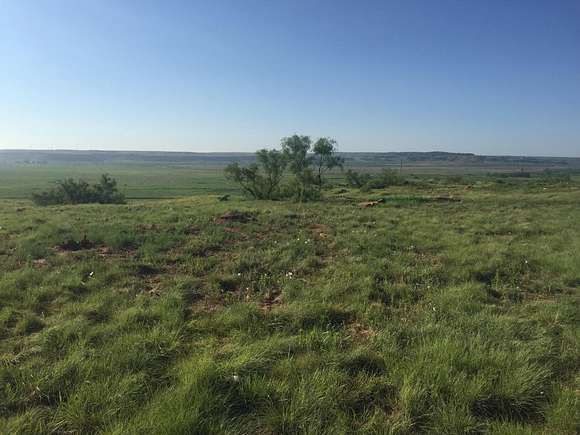4.9 Acres of Residential Land for Sale in Boys Ranch, Texas