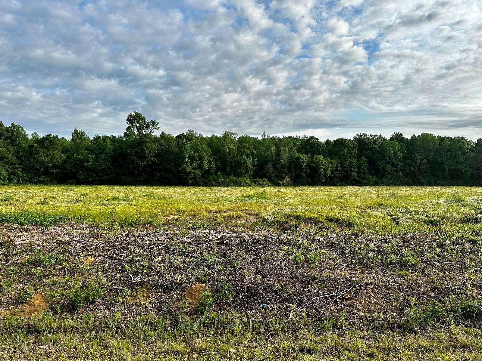 3.75 Acres of Land for Sale in Hartford, Alabama