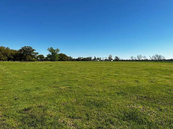 9.5 Acres of Land for Sale in Cottonwood, Alabama