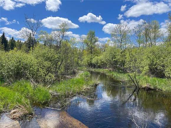79.5 Acres of Recreational Land & Farm for Sale in Kelliher, Minnesota
