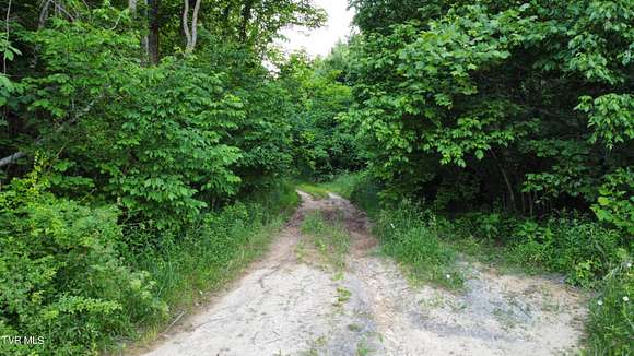 10 Acres of Residential Land for Sale in Chuckey, Tennessee