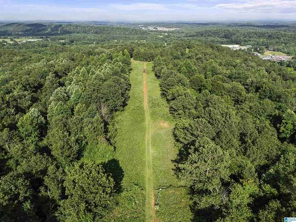 60 Acres of Recreational Land for Sale in Pell City, Alabama