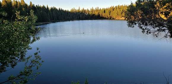 2.1 Acres of Land for Sale in Seeley Lake, Montana