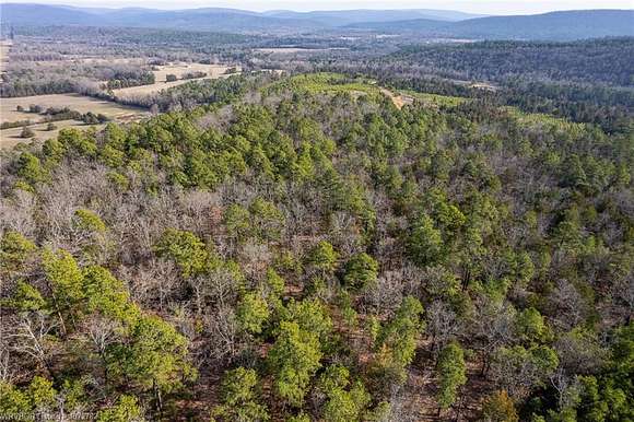 16.9 Acres of Recreational Land for Sale in Booneville, Arkansas