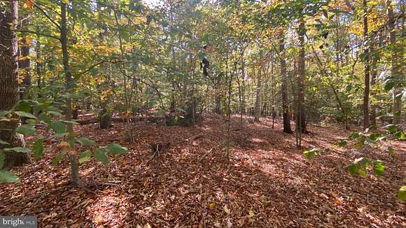 40.9 Acres of Agricultural Land for Sale in Indian Head, Maryland