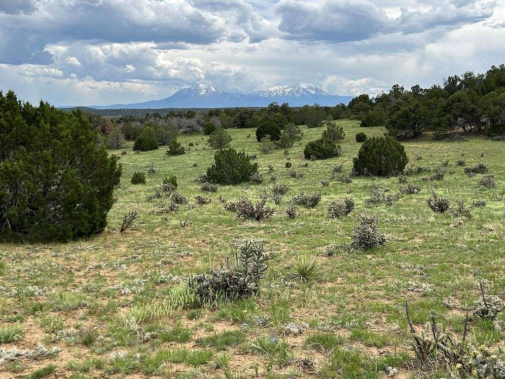 160 Acres of Recreational Land for Sale in Walsenburg, Colorado