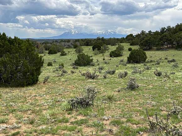 160 Acres of Recreational Land for Sale in Walsenburg, Colorado