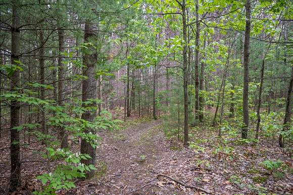 5 Acres of Residential Land for Sale in Lyndon Station, Wisconsin