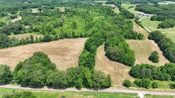 10 Acres of Agricultural Land for Sale in Lake Cormorant, Mississippi