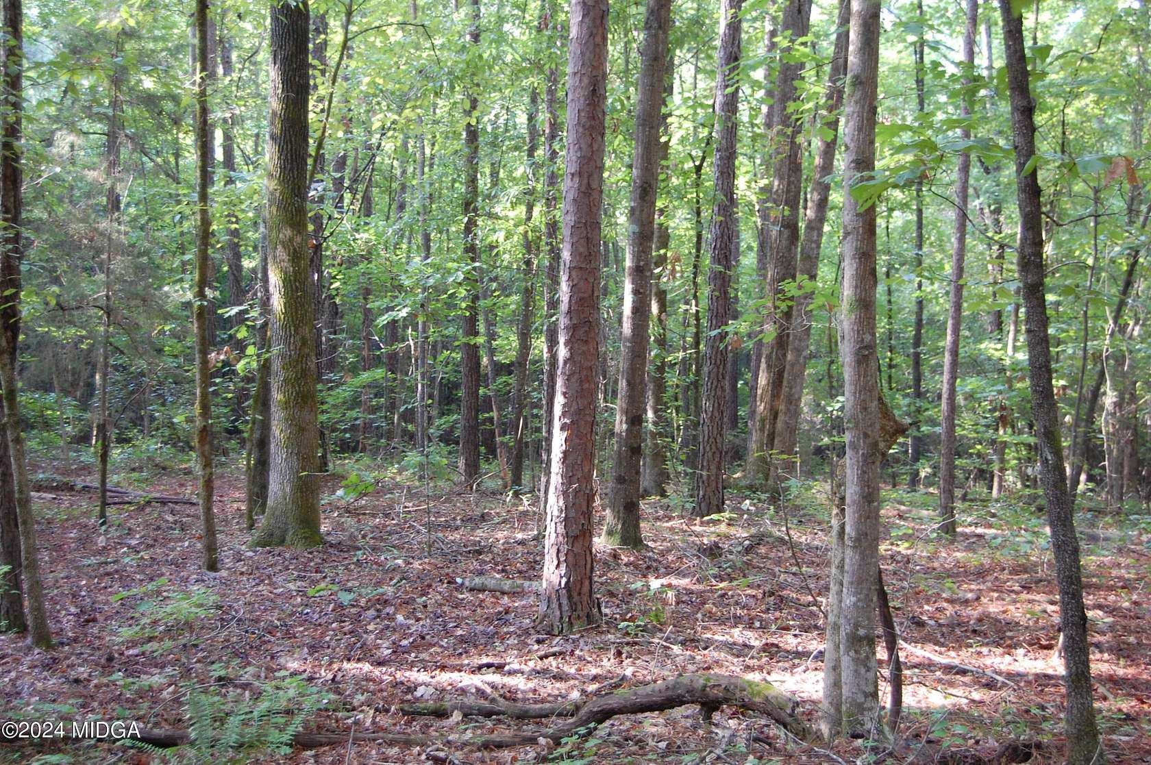 15.5 Acres of Land for Sale in Forsyth, Georgia