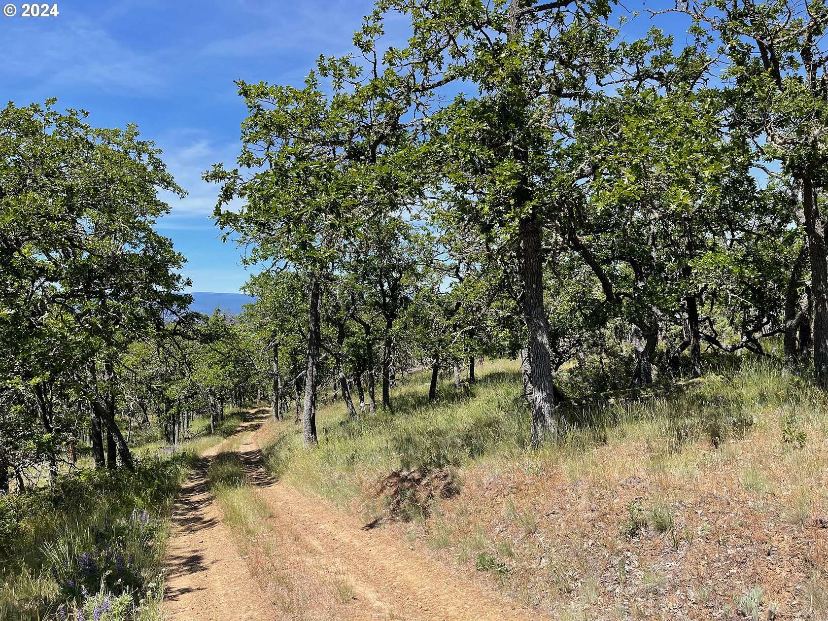 4.92 Acres of Land for Sale in Goldendale, Washington