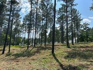 112 Acres of Recreational Land & Farm for Sale in North Augusta, South Carolina