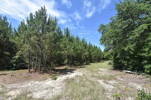 25 Acres of Recreational Land for Sale in Wagener, South Carolina