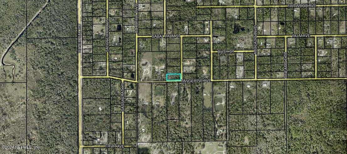 0.94 Acres of Residential Land for Sale in Bunnell, Florida
