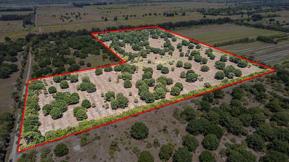 30.03 Acres of Agricultural Land for Sale in Vero Beach, Florida