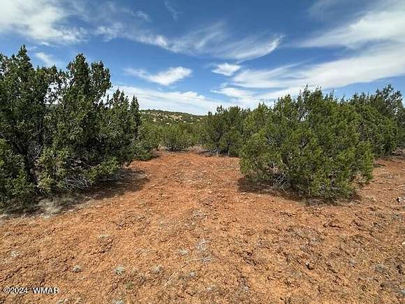 1.16 Acres of Residential Land for Sale in Concho, Arizona