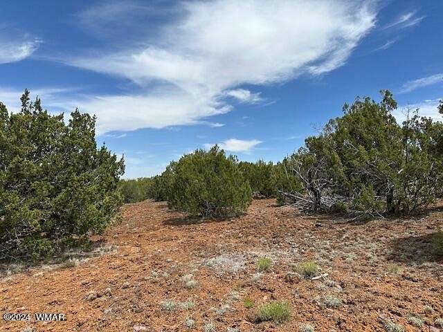 1.16 Acres of Residential Land for Sale in Concho, Arizona