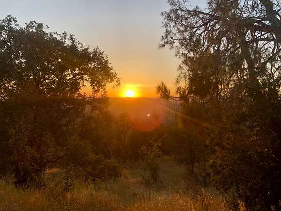 40 Acres of Land for Sale in Coarsegold, California