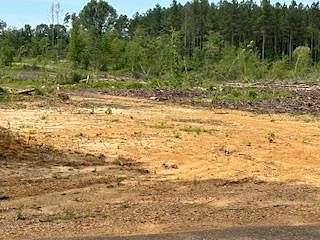 2 Acres of Land for Sale in Bogue Chitto, Mississippi