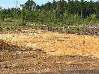40.1 Acres of Agricultural Land for Sale in Bogue Chitto, Mississippi