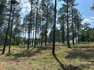 63.92 Acres of Land for Sale in North Augusta, South Carolina