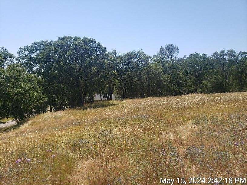 1 Acre of Residential Land for Sale in Valley Springs, California