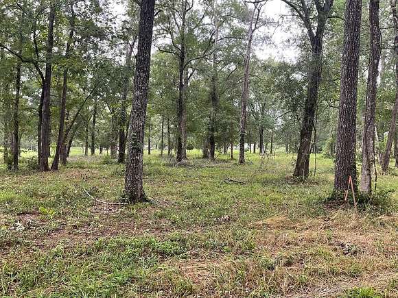 4.5 Acres of Residential Land for Sale in Lufkin, Texas