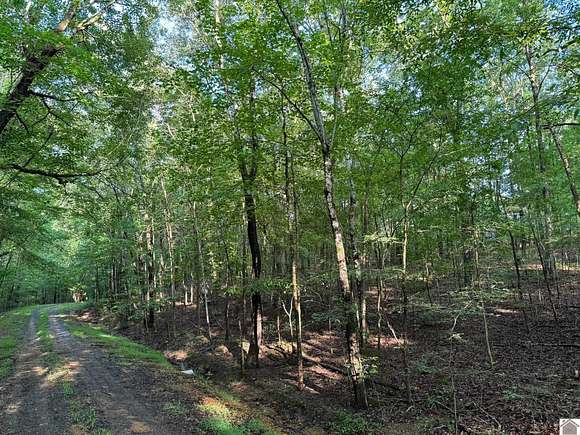 0.45 Acres of Residential Land for Sale in New Concord, Kentucky