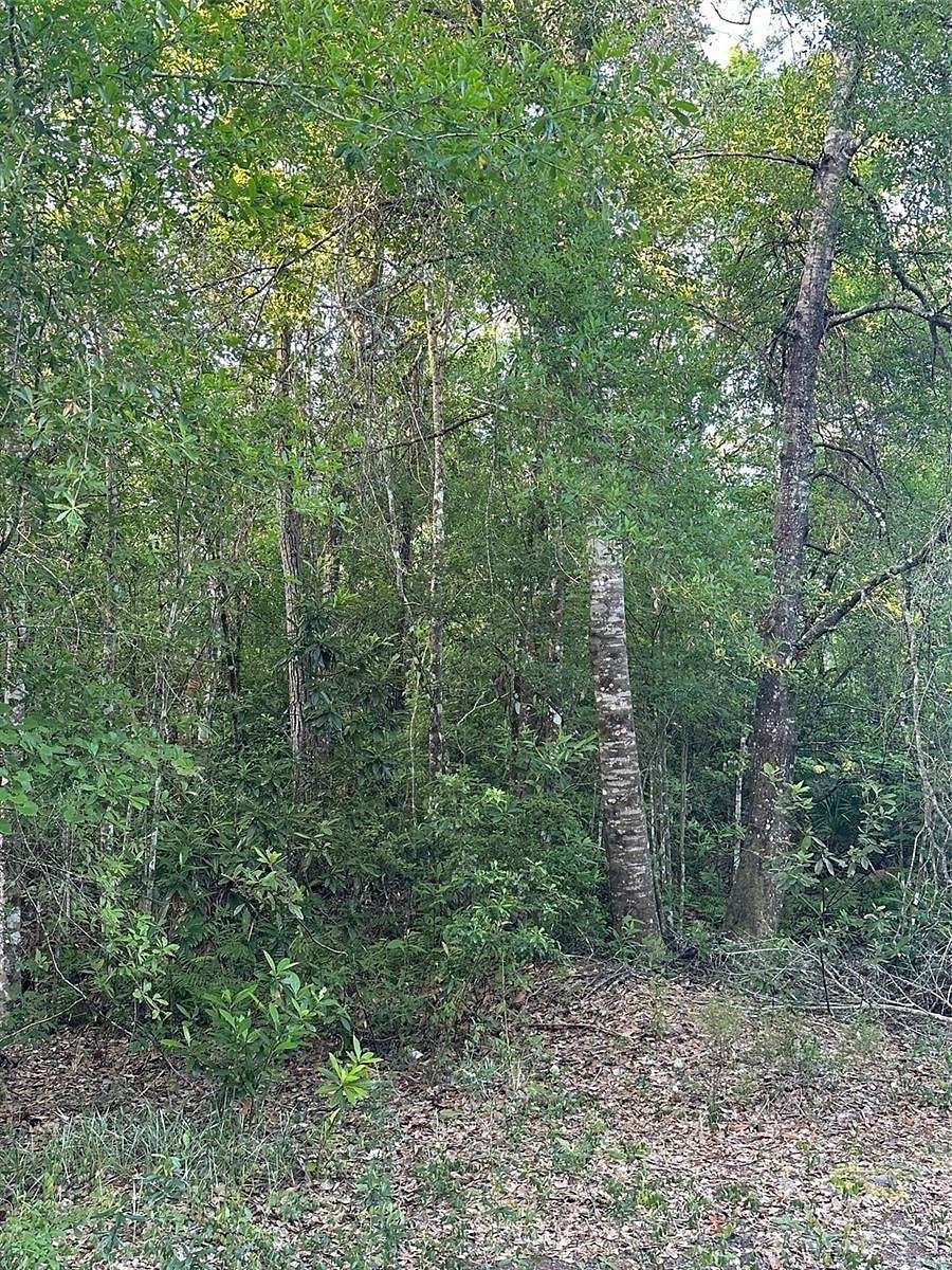 1.5 Acres of Land for Sale in Clermont, Florida