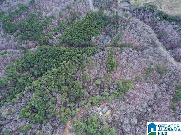 12.3 Acres of Recreational Land for Sale in Trussville, Alabama