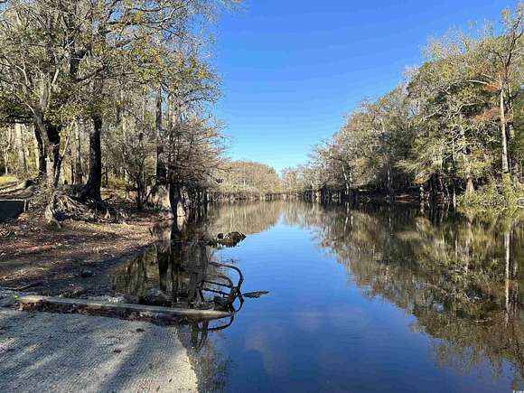 24.46 Acres of Land for Sale in Johnsonville, South Carolina