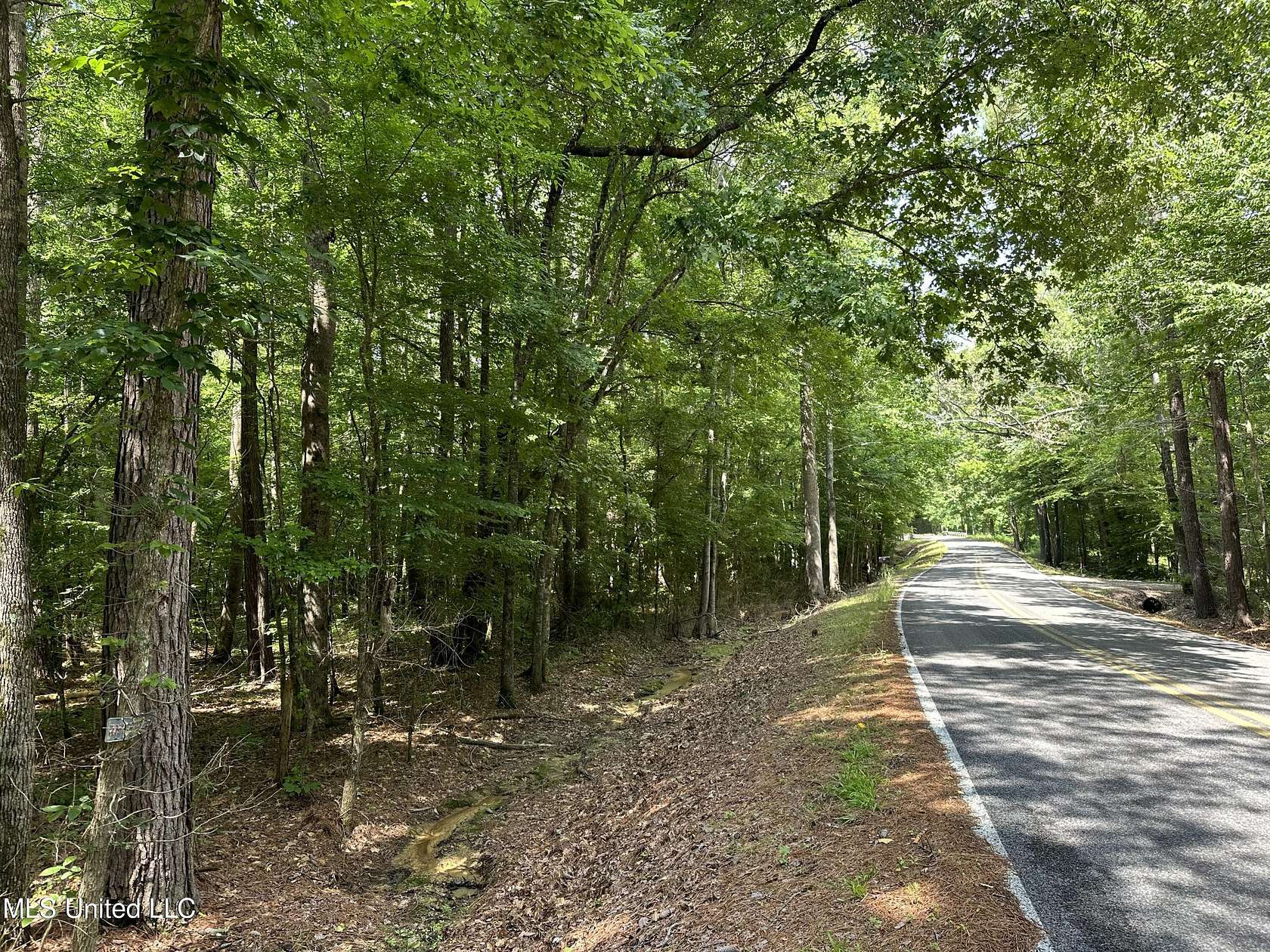 19 Acres of Land for Sale in Brandon, Mississippi