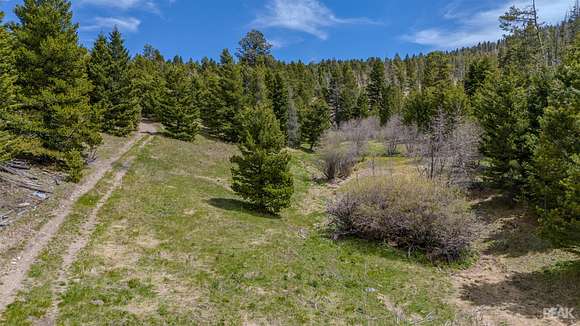 18.8 Acres of Recreational Land for Sale in Marysville, Montana