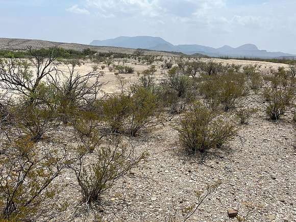 20 Acres of Recreational Land for Sale in Alpine, Texas