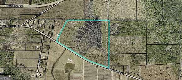 48.3 Acres of Land for Sale in Baxley, Georgia