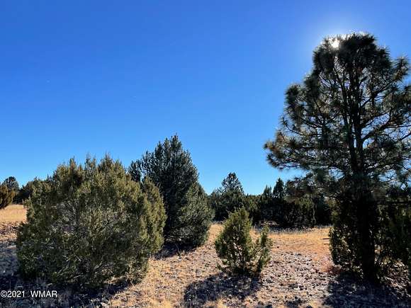 76.6 Acres of Agricultural Land for Sale in Vernon, Arizona