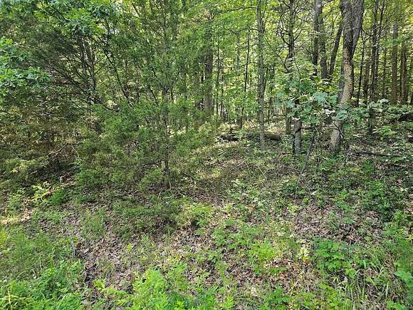 0.25 Acres of Residential Land for Sale in Catawissa, Missouri