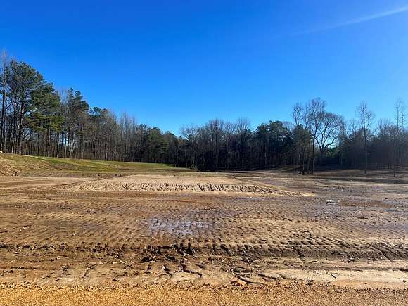 11.8 Acres of Land for Sale in Coldwater, Mississippi