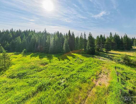 19.9 Acres of Recreational Land for Sale in Orofino, Idaho