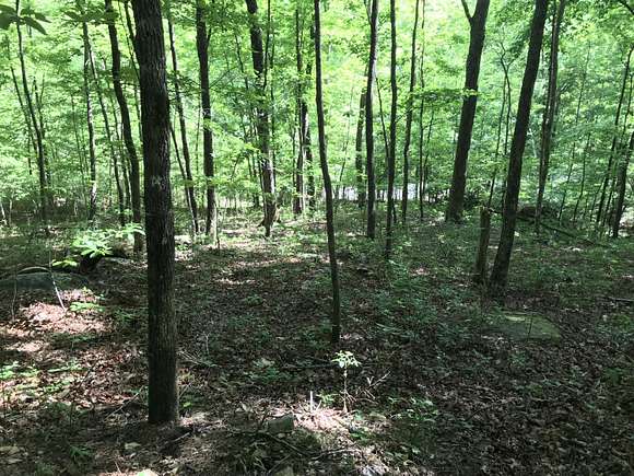 1.8 Acres of Residential Land for Sale in Dunlap, Tennessee