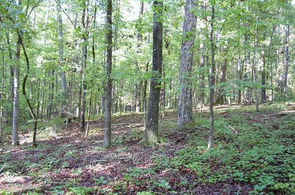 15.5 Acres of Land for Sale in Forsyth, Georgia