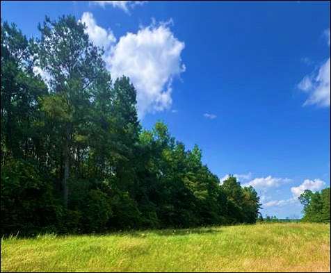 10.5 Acres of Recreational Land for Sale in Union, Mississippi
